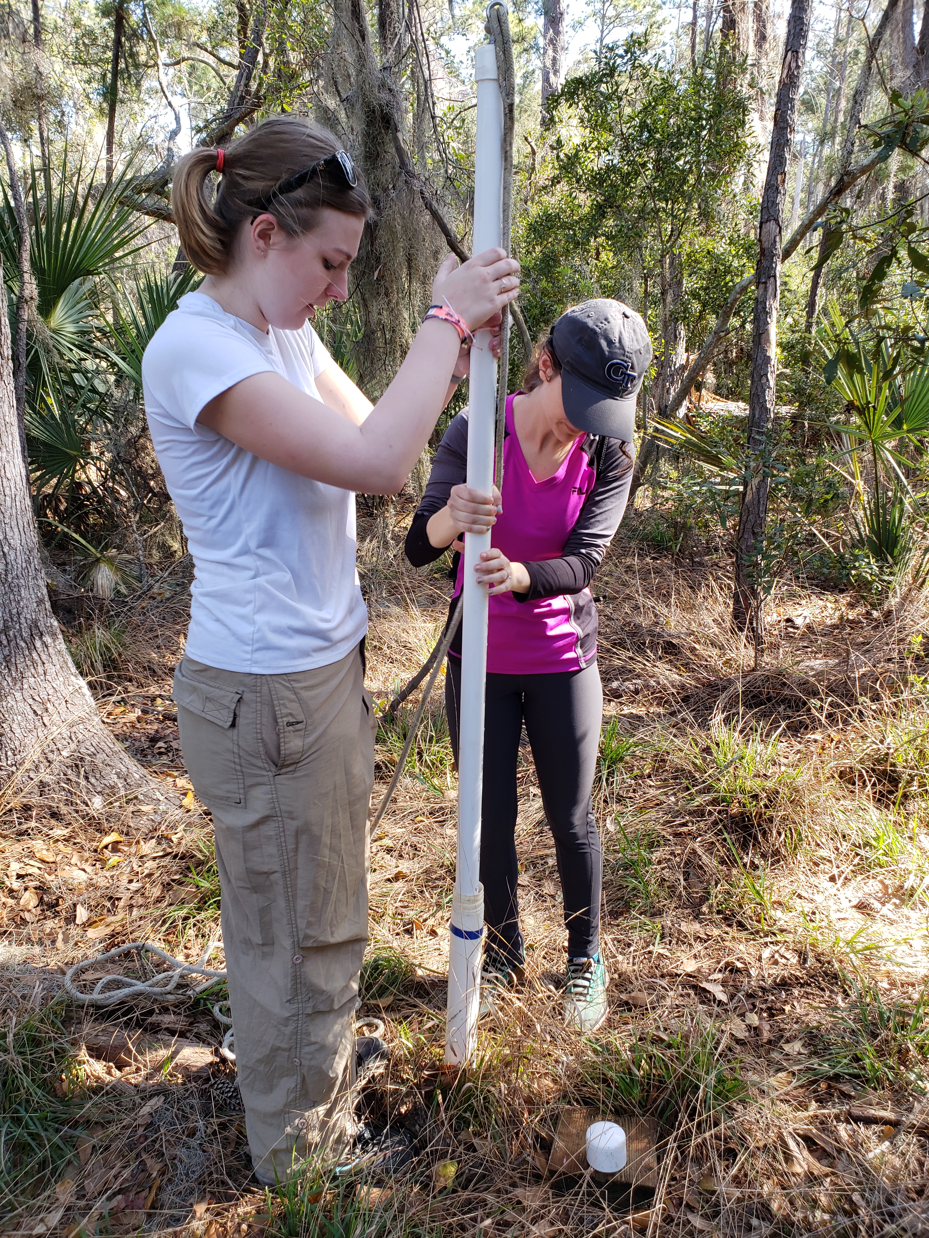 Two students are outdoors in a wooded area and are using a long PVC pipe tool to collect soil core samples.