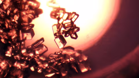 Glycine, one of the critical amino acids that the system coverts carbon dioxide into. (Image Credit: NASA)