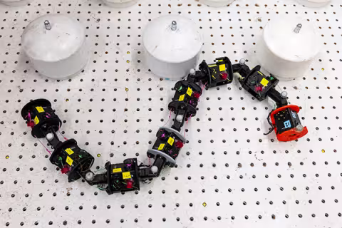 Worm research robot