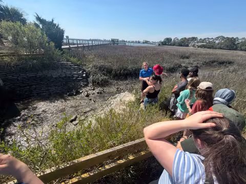 Students view a tide gate to prevent flooding in a marshy area.