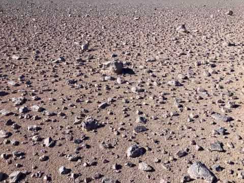 Scattered rocks across the dry desert floor.